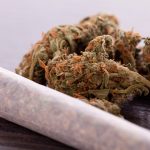 Cannabis wird sehr häufig in Form eines Joints konsumiert. Bildquelle: shutterstock.com