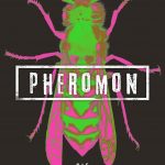 Pheromon – der neue Roman der Bestsellerautoren Rainer Wekwerth und Thariot. Bildquelle: Planet! Verlag