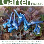 940032-garten-praxis-9-2019-cover1