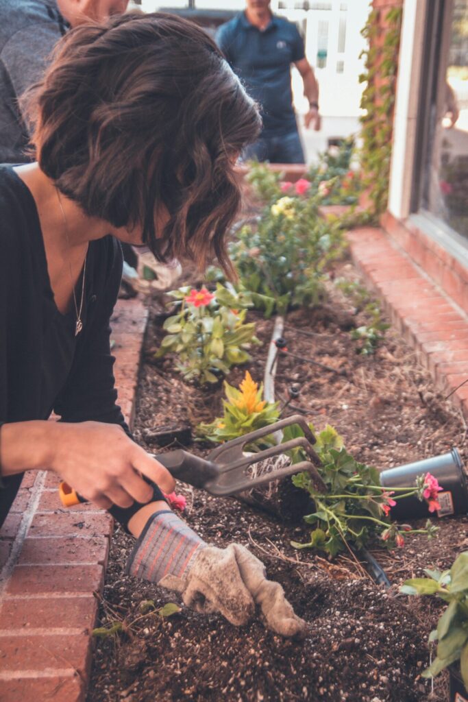 Vor allem in den Städten sind gemeinschaftsgärten eine tolle Alternative für gemeinschaftliche Arbeit und der Freude an Pflanzen. Bildquelle: © Kenny Eliason / Unsplash.com